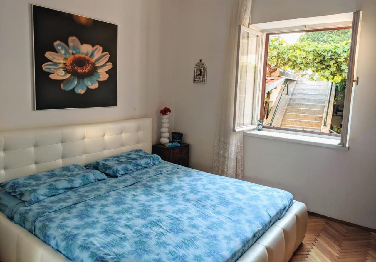 Glorianita Sweethome,Centro, Free Parking,Self Check- In Šibenik Kültér fotó
