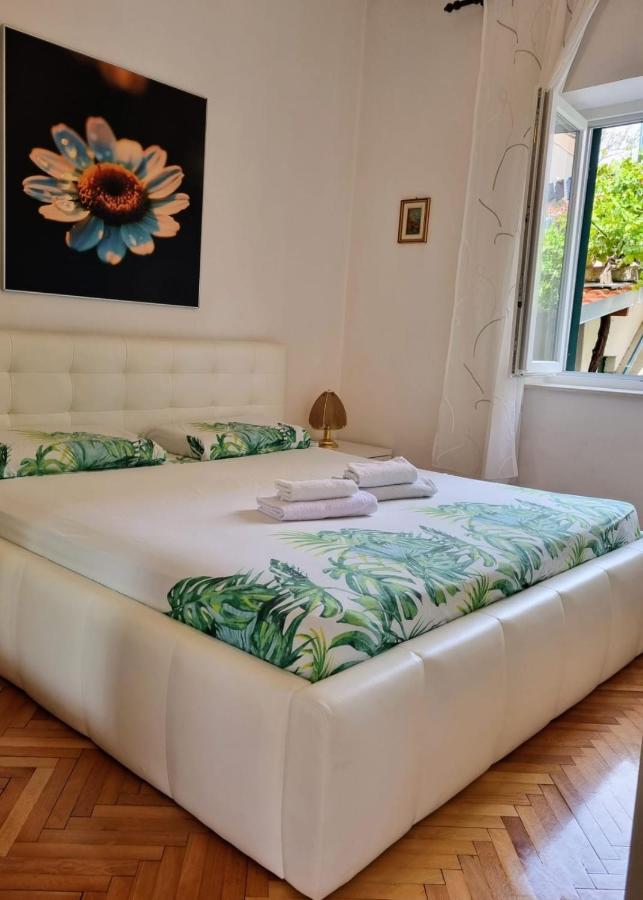 Glorianita Sweethome,Centro, Free Parking,Self Check- In Šibenik Kültér fotó